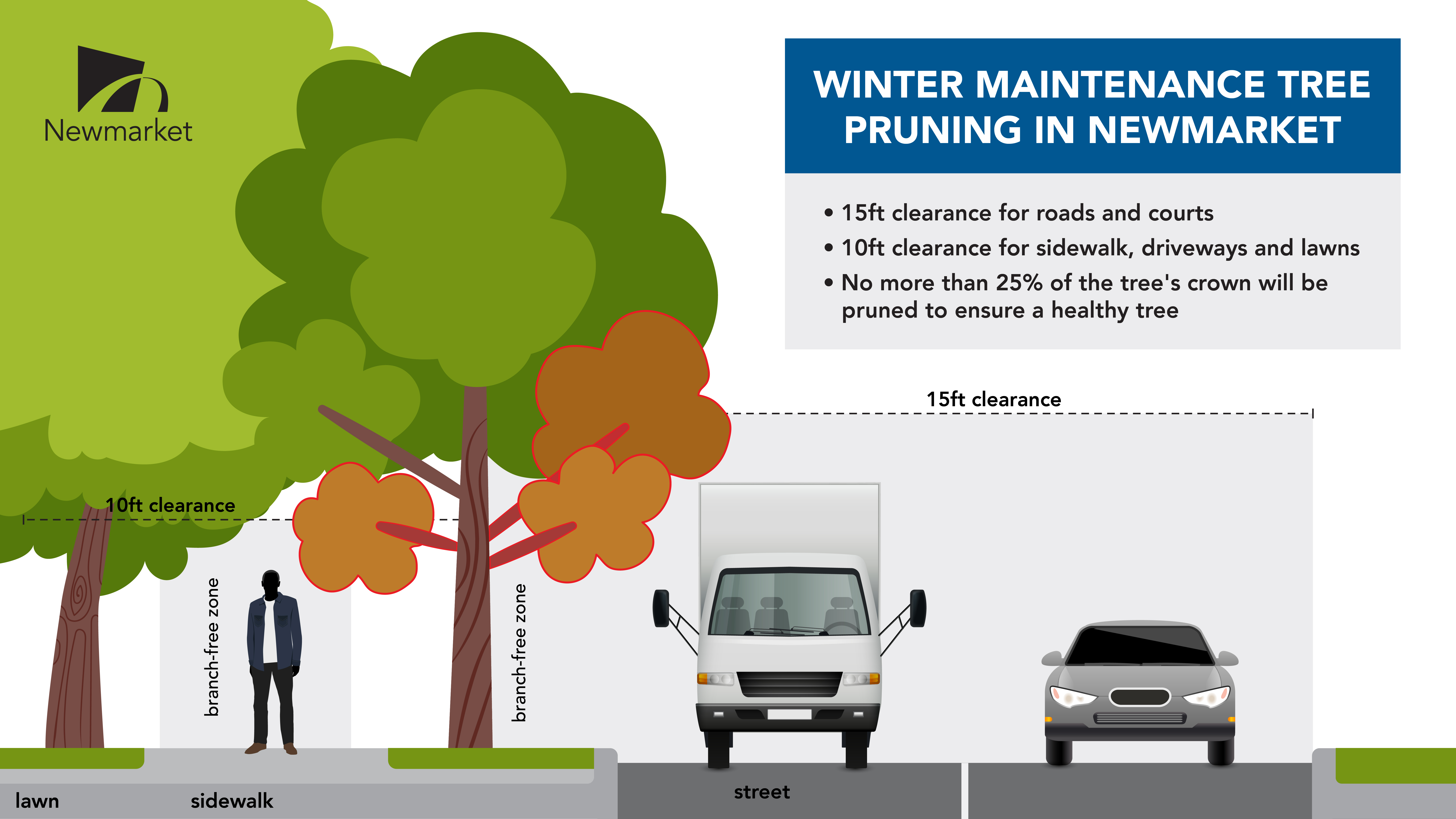 Tree pruning diagram