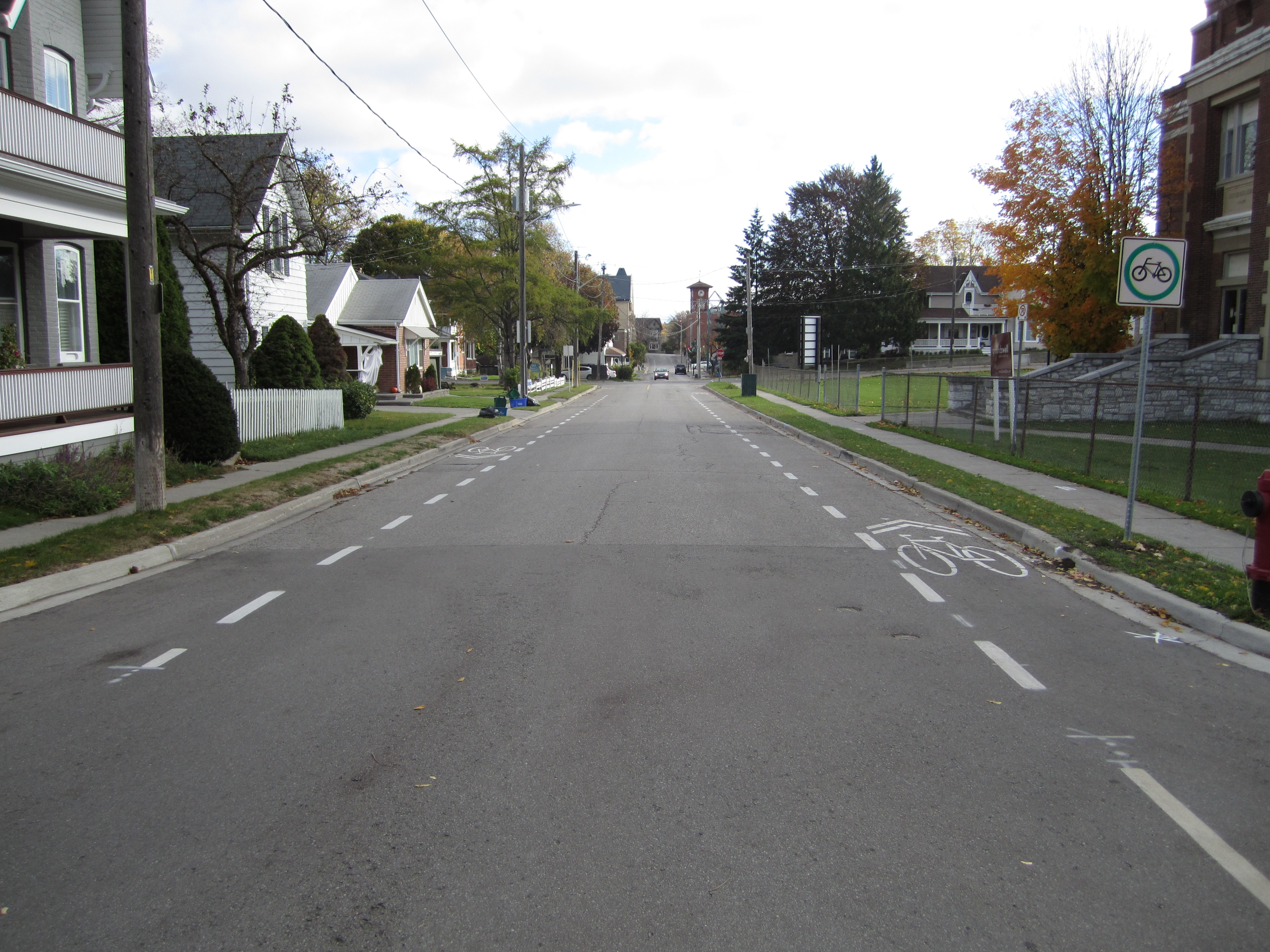 A picture of advisory bike lanes on Park Avenue looking Eastbound