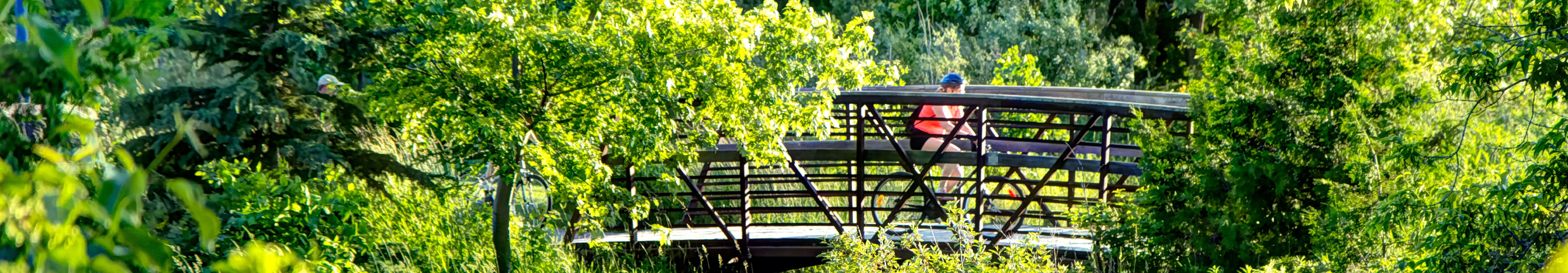 Lush greenery with a bike and walking trail along a bride with a cyclist