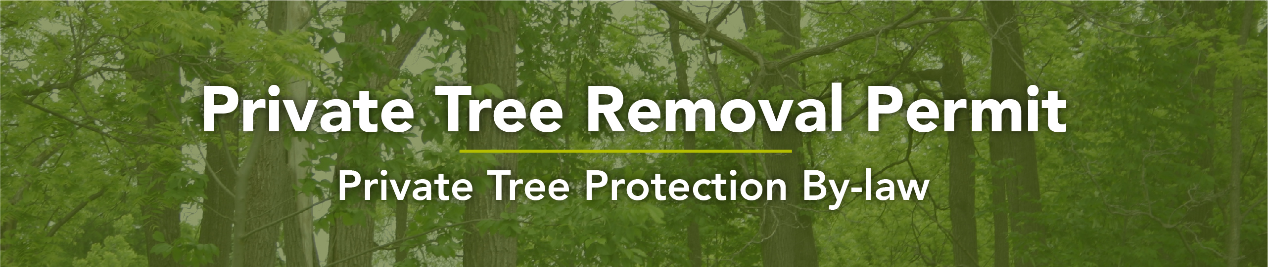 Private Tree Removal Permit