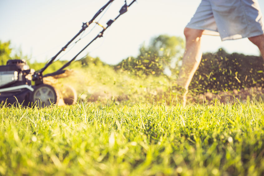 image of person cutting grass with a lawn mower