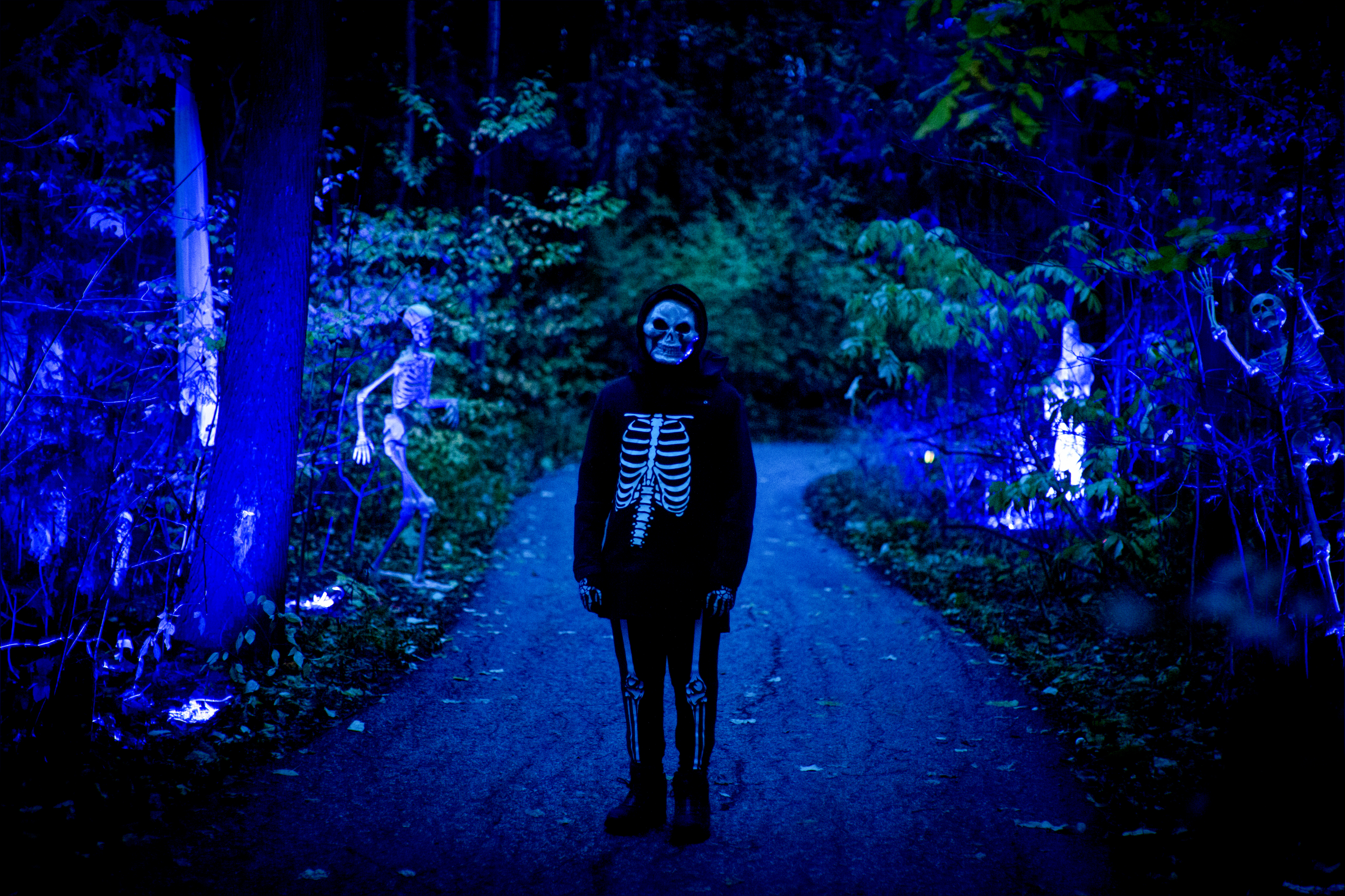 Haunted Trail Skeleton 2.jpg